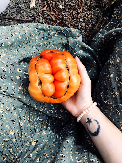 Foto vista em alto ângulo de mão segurando legumes em terra