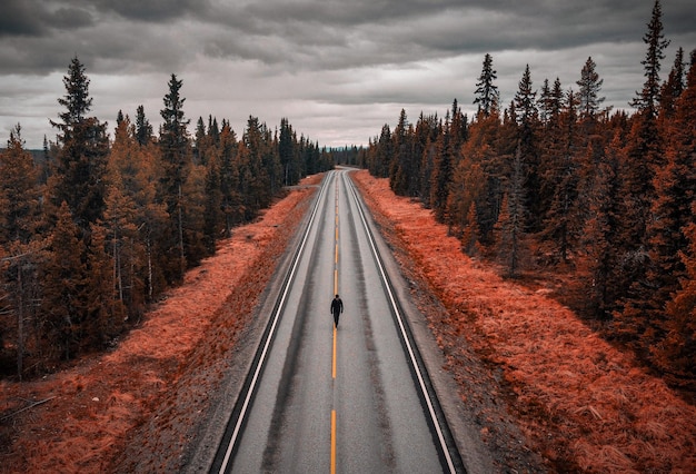 Foto vista em alto ângulo de trilhos ferroviários