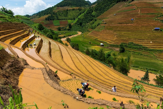 Foto vista em alto ângulo de um campo em terraços