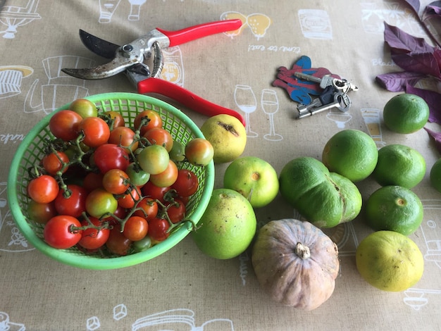 Foto vista em alto ângulo de vegetais na mesa