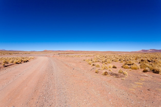 Vista em perspectiva de estrada de terra boliviana