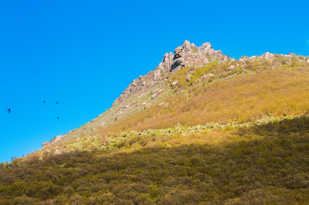 Vista de los enormes acantilados rocosos y el valle verde cubierto de bosque