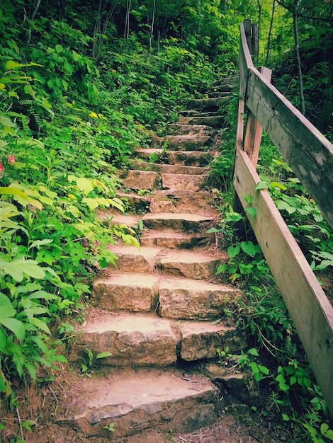 Foto vista de las escaleras a lo largo de las plantas