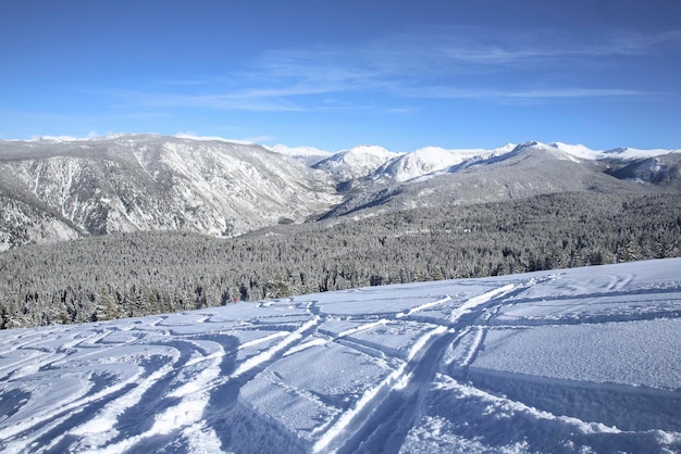 Vista escalofriante de árboles y campos cubiertos de nieve en el parque de esquí Aspen Colorado en Colorado, EE. UU.