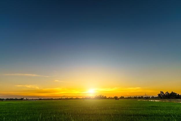 Vista escénica del paisaje del campo de maíz con el cielo crepuscular azul brillante y naranja amarillo espectacular puesta de sol en la playa colorida textura de paisaje nuboso con fondo de aire de nubes blancas