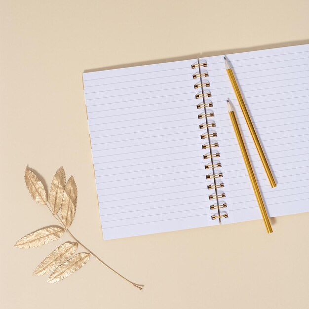 Vista del escritorio con cuaderno escolar abierto y lápices con hojas de otoño naturales Concepto otoñal