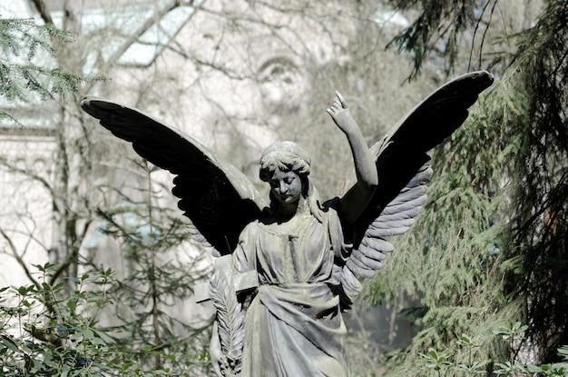 Vista de la escultura de un ángel en un cementerio