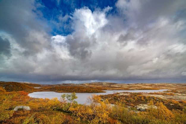 Vista del espacio de la tundra con vegetación en otoño. El extremo norte de Rusia.