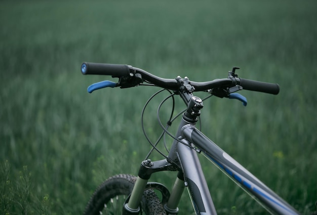Vista espectacular de los puestos de bicicleta de montaña en el tiempo libre del campo de hierba y el ciclismo en libertad