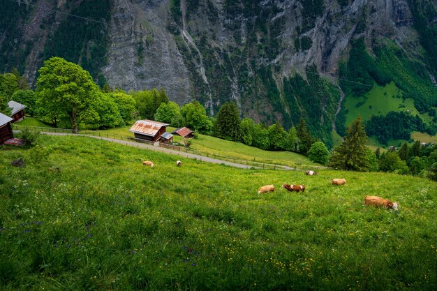 Vista del espectacular valle de Lauterbrunnen desde Murren Suiza