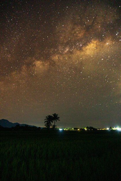 Vista estrela noturna na montanha escura e coqueiros