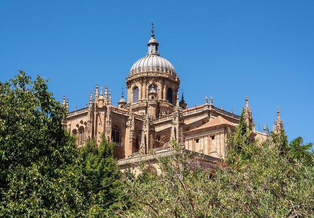 Vista exterior de la cúpula y tallas en el techo de la Catedral Vieja de Salamanca