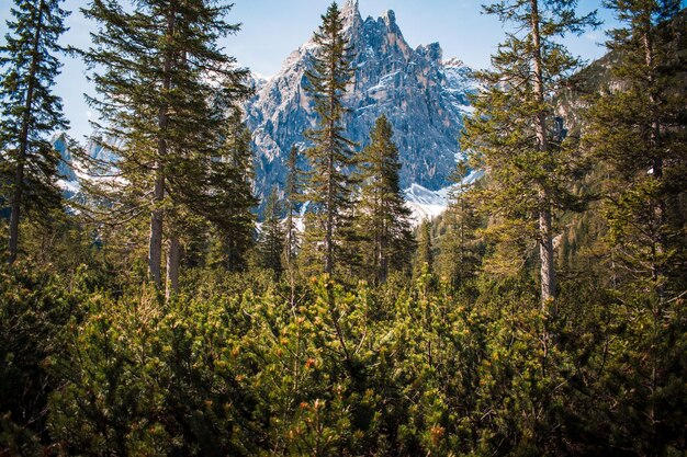 Vista fantástica sobre val viscalina em trentino