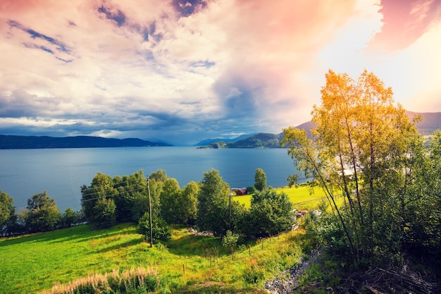 Vista del fiordo al atardecer Prado a la orilla del mar Hermosa naturaleza de Noruega