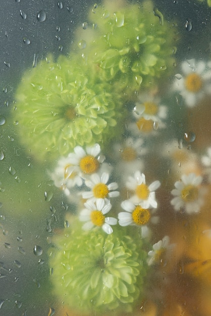 Vista de flores detrás de vidrio condensado