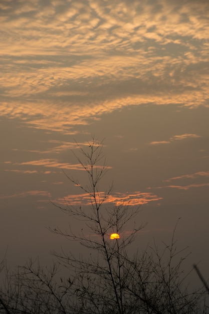 Vista de fondo del cielo del amanecer