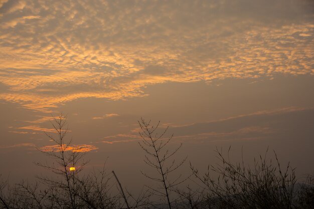 Vista de fondo del cielo del amanecer