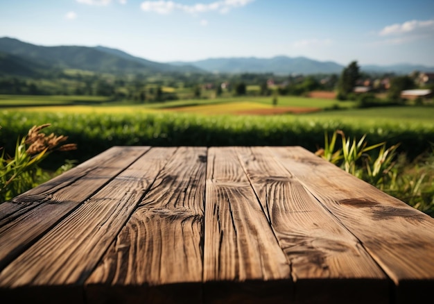 Vista de fondo de mesa de madera vacía de campos de arroz verdes