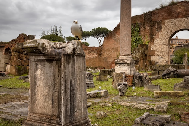 Vista del foro romano Roma en el otoño