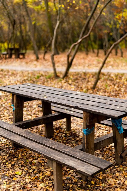 Página 14 | Imágenes de Banco De Madera - Descarga gratuita en Freepik