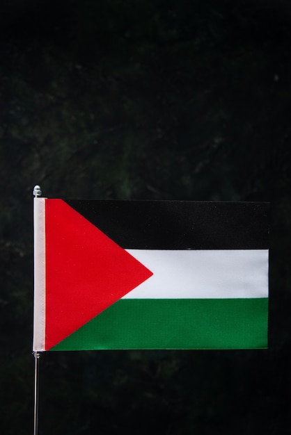 Vista frontal de la bandera de Palestina en el negro