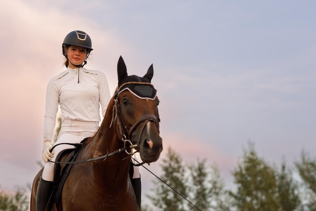 Vista frontal del caballo castaño en arnés con jinete femenino con casco y uniforme blanco