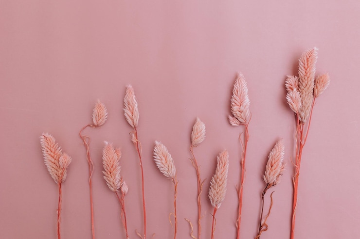 Foto vista frontal grama seca rosa alinhada em uma fileira de cores monocromáticas