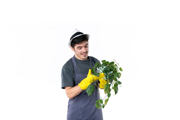 Vista frontal jovem macho em luvas amarelas segurando planta em fundo branco jardim de flores grama árvore jardineiro trabalho verde arbusto planta