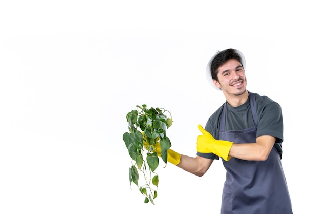 Vista frontal joven jardinero masculino sosteniendo planta sobre fondo blanco jardín árbol verde trabajo flor hierba color jardinero