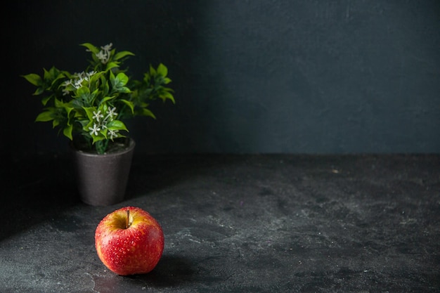 vista frontal manzana roja fresca con planta verde sobre fondo oscuro foto madura jugo de árbol fruta color suave espacio libre