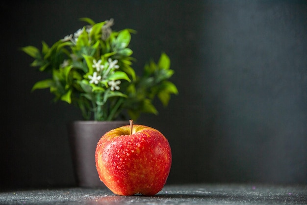 Vista frontal manzana roja fresca con planta verde sobre fondo oscuro foto madura jugo de fruta de árbol colores suaves