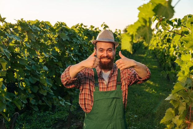 Vista frontal mirando a la cámara viticultor barbudo joven agricultor hombre quedarse viñedo feliz golpear las manos