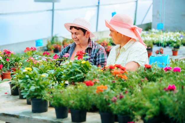 Foto vista frontal olhando para flores em vasos duas mulheres trabalhando em uma estufa de flores discutindo seu trabalho