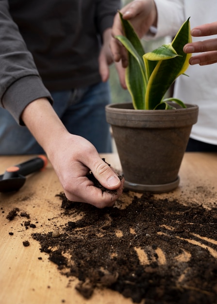 Vista frontal pessoas transplantando plantas juntas