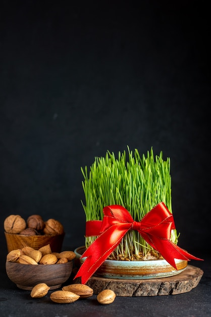 Foto vista frontal de semeni verde con nueces de arco rojo y nueces sobre superficie oscura