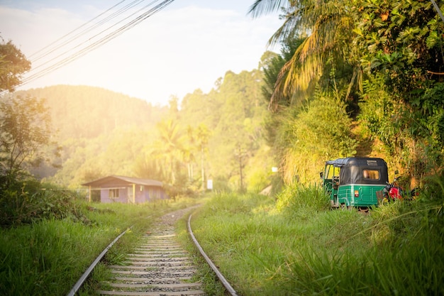 Foto vista frontal de las viejas vías ferroviarias que atraviesan la densa jungla verde del paisaje de sri lanka