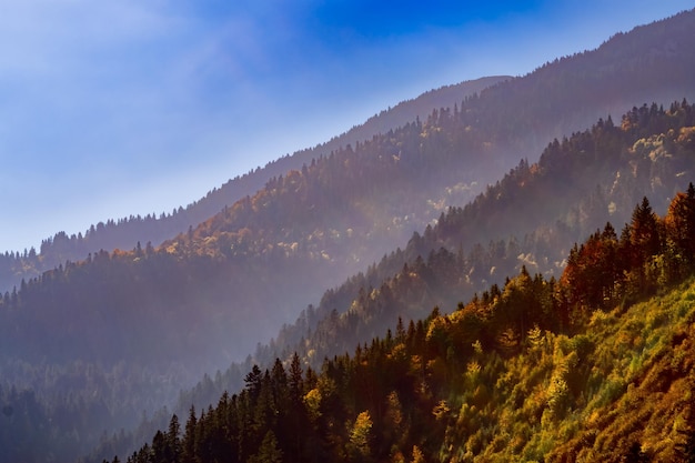 Vista general del paisaje de las montañas de otoño Cárpatos Ucrania