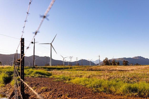 Vista general de las turbinas eólicas en el paisaje rural con cielo despejado. medio ambiente, sostenibilidad, ecología, energías renovables, calentamiento global y concienciación sobre el cambio climático.