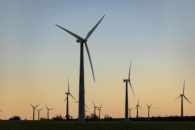 Vista geral das turbinas eólicas na paisagem rural com céu sem nuvens. meio ambiente, sustentabilidade, ecologia, energia renovável, aquecimento global e conscientização sobre as mudanças climáticas.