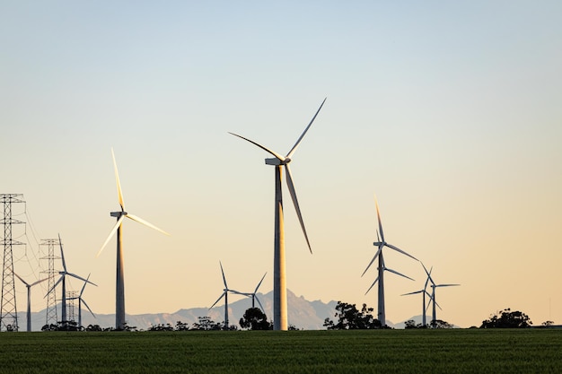 Vista geral das turbinas eólicas na paisagem rural com céu sem nuvens. meio ambiente, sustentabilidade, ecologia, energia renovável, aquecimento global e conscientização sobre as mudanças climáticas.