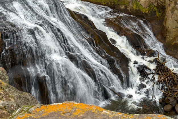 Vista de Gibbon Falls en Yellowstone.