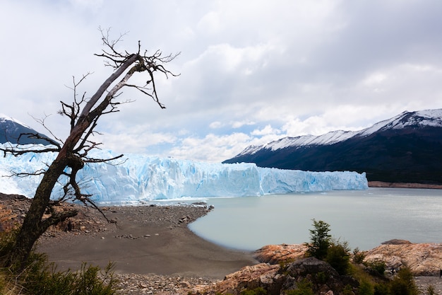 Foto vista del glaciar perito moreno, paisaje de la patagonia, argentina. paisaje patagónico