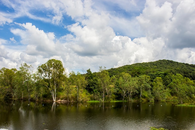 Vista de la gran montaña y gran lago con cielo azul y nublado.