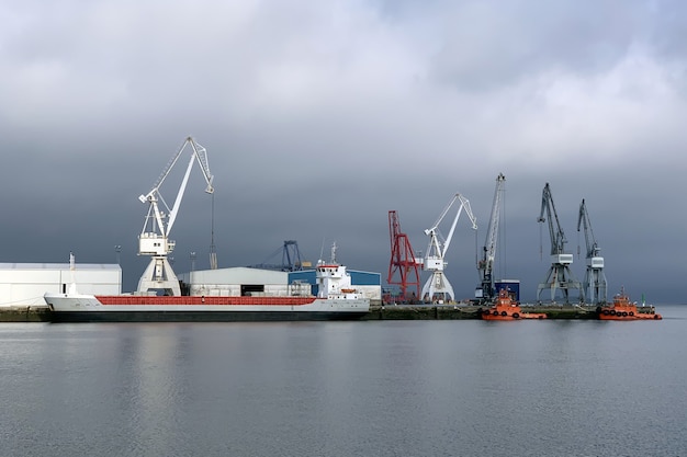 Vista de grúas de puerto industrial en el puerto marítimo