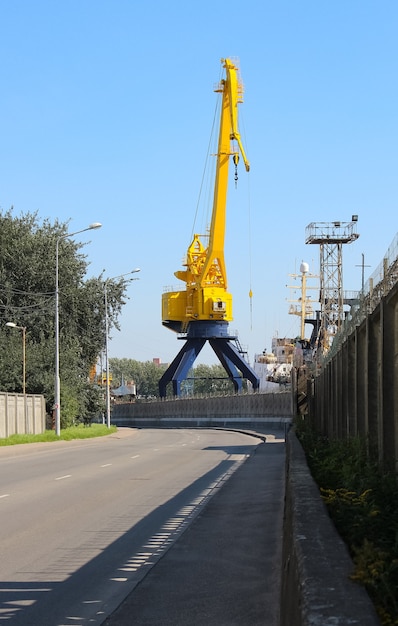 Foto vista de la grulla amarilla contra el cielo