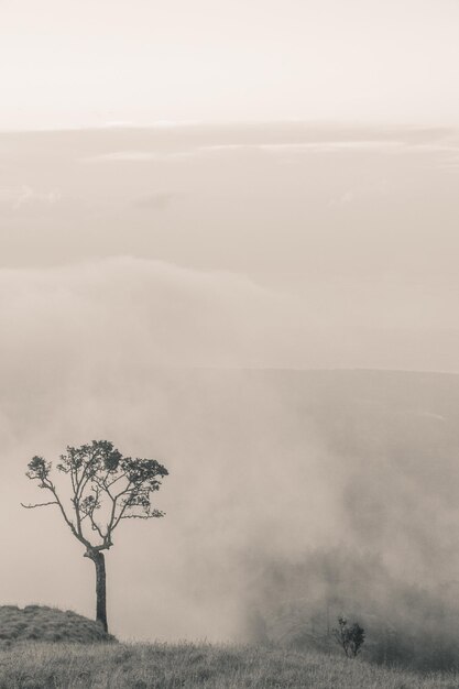 Vista desde Gunung Rinjani