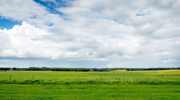 Vista habitual do campo rural e céu nublado na Inglaterra perto de Stonehenge Salisbury