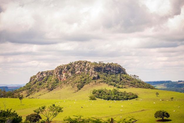 Vista de Hawk Hill. Ciudad de RibeirÃ £ o Claro, Paraná, Brasil