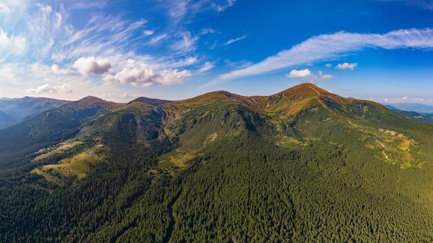 Foto vista desde el helicóptero a las montañas cubiertas de bosque