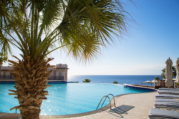 Vista de la hermosa piscina con palmeras.